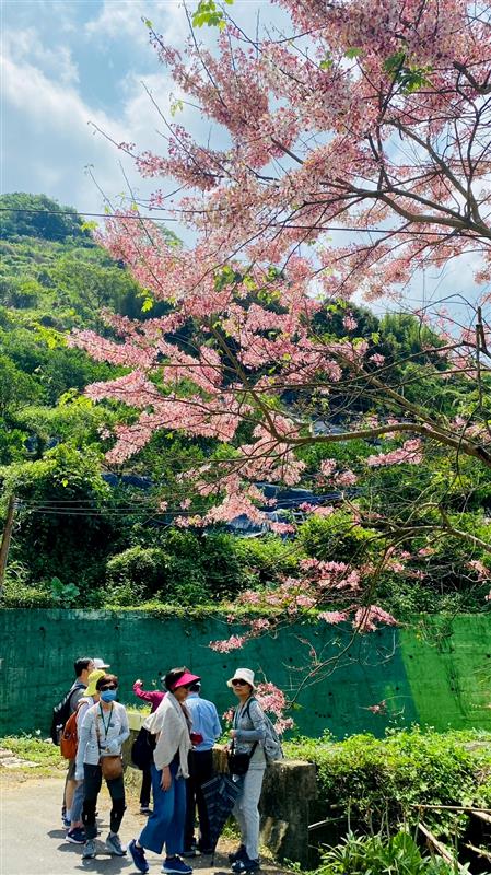 相關圖片