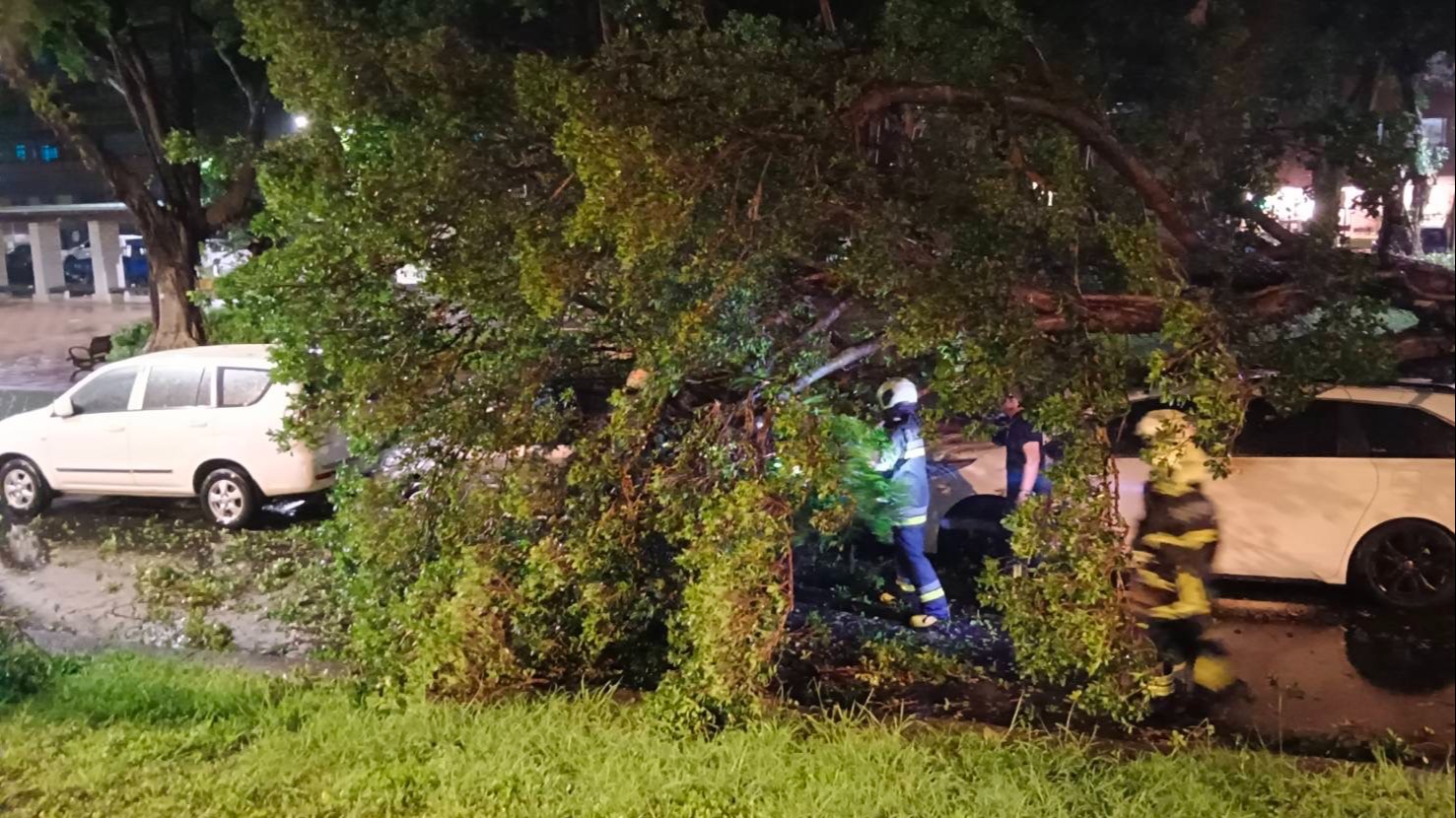 雨炸北臺/北投警不畏風雨 暗夜排除河堤倒塌路樹