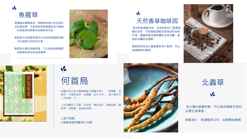 相關圖片