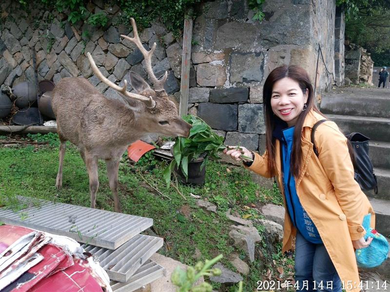 相關圖片