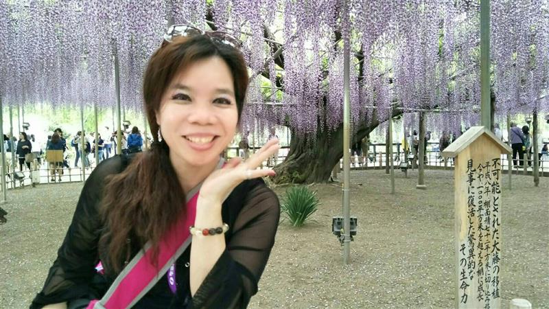 2017【聖恩集團】菁英招待~東京紫藤花芝櫻戀5日開心之旅