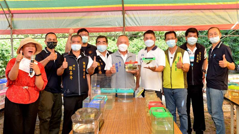 光輝雙十 銅鑼鄉九湖社區 台灣原生種蓋斑鬥魚比賽
