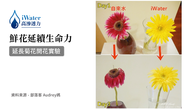 相關圖片