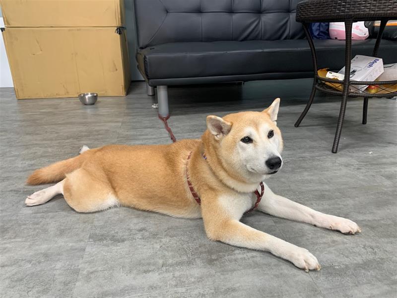 相關圖片