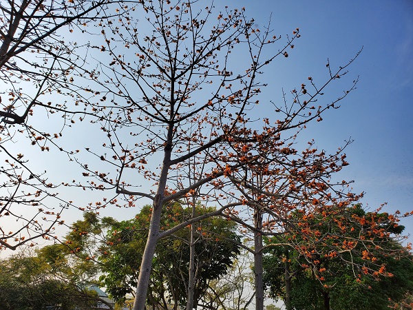 相關圖片