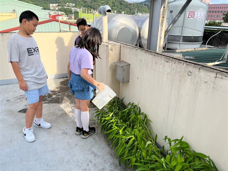 相關圖片