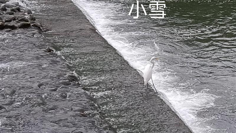 「小雪」食衣住行育樂開運養生與禁忌  楊登嵙 教授