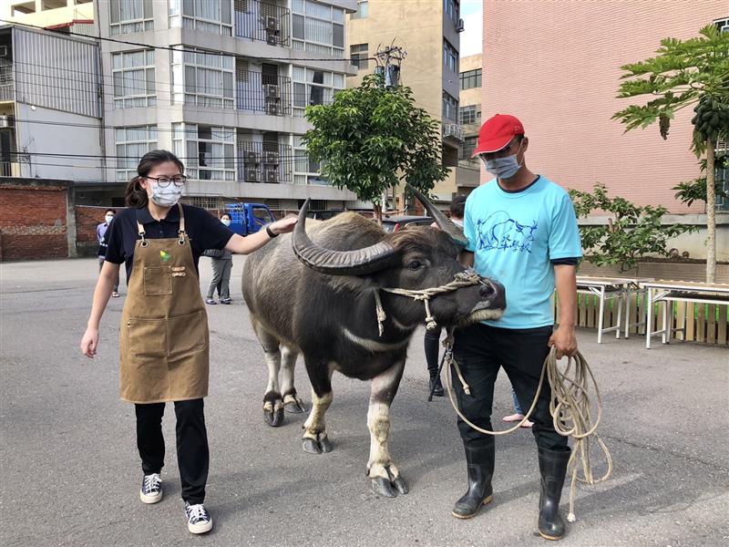 相關圖片