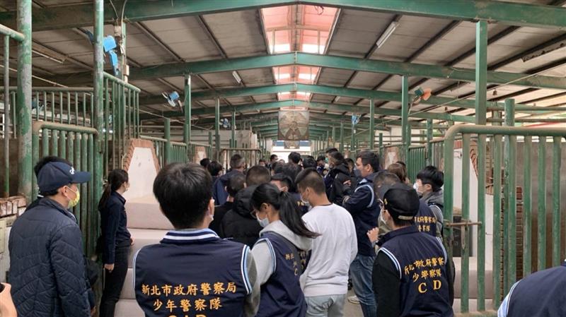 關懷青少年理念 歡樂馬術體驗營！