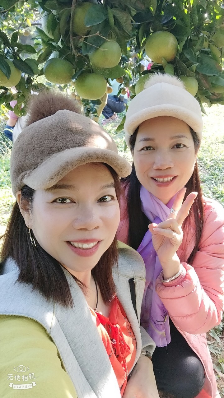 相關圖片
