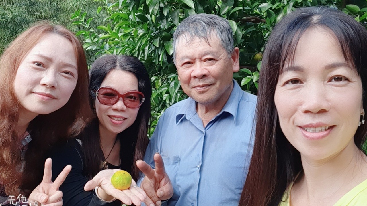 說走就走 相揪 文興觀光果園採果樂，超好吃砂糖橘現場甲免驚ㄡ!