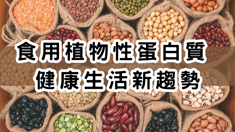 食用植物性蛋白質成為健康生活新趨勢，AiJia愛佳「豌豆蛋白」成功成為這一健康潮流的引領者。幸運之鑰 Luckey 
