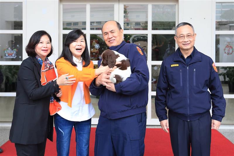 相關圖片