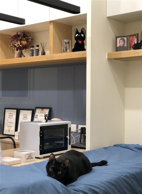相關圖片