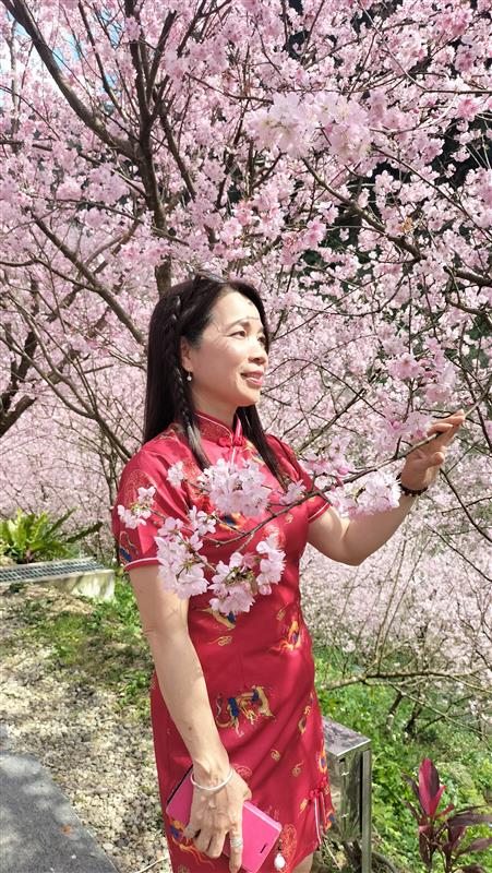 相關圖片