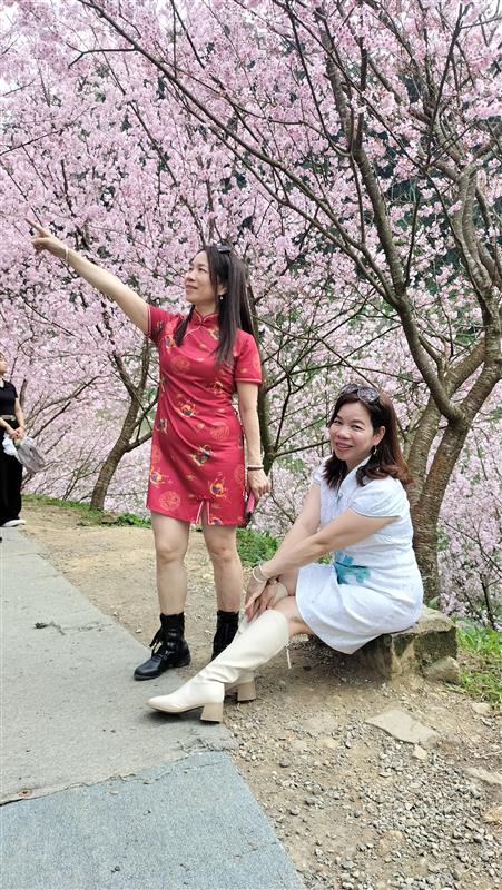 相關圖片