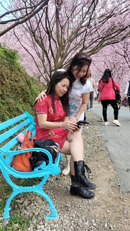 相關圖片