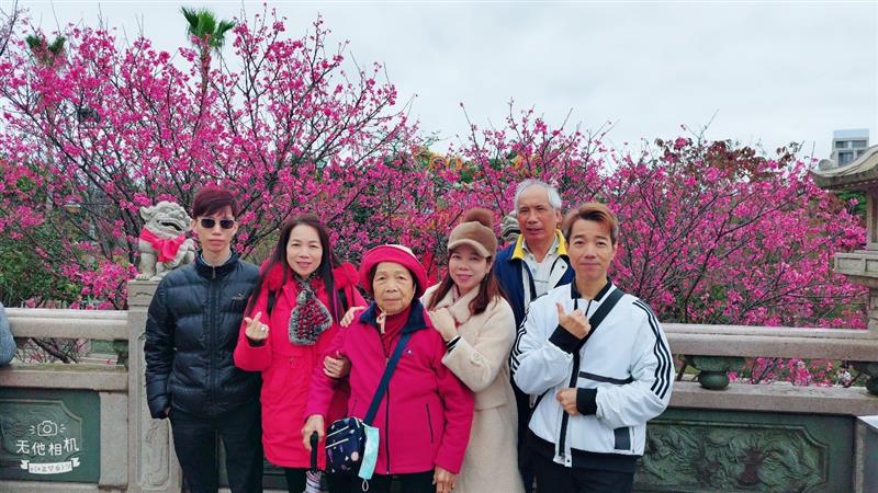 【林口竹林山觀音寺】全家出遊拜拜賞櫻花2月正是時候