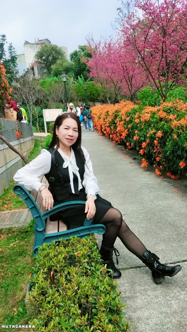 相關圖片
