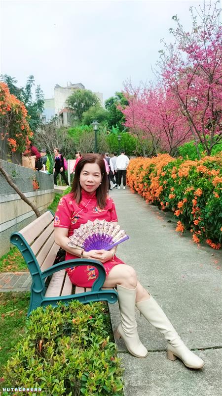 相關圖片