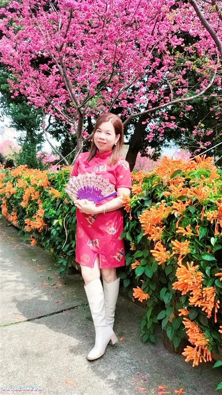 相關圖片