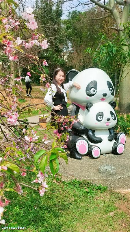 相關圖片