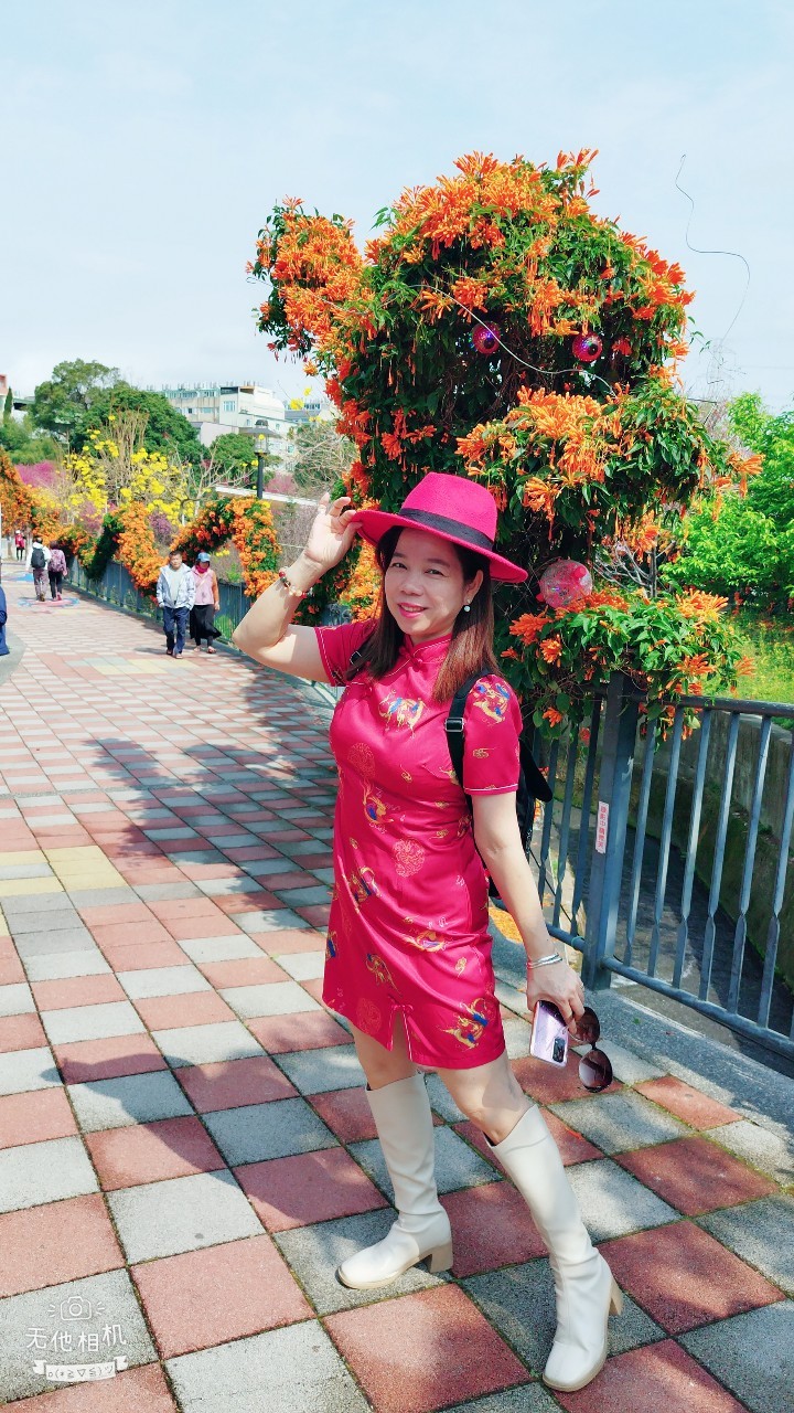 相關圖片