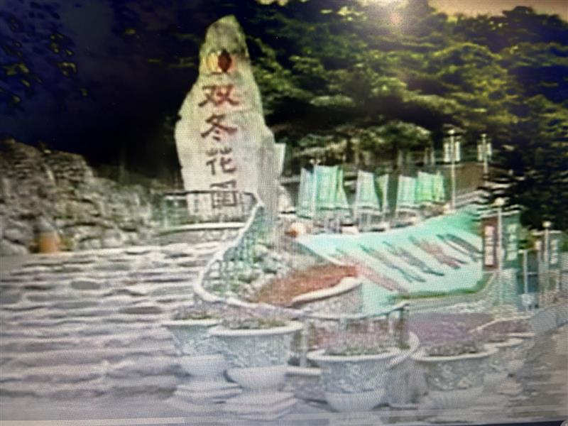 相關圖片