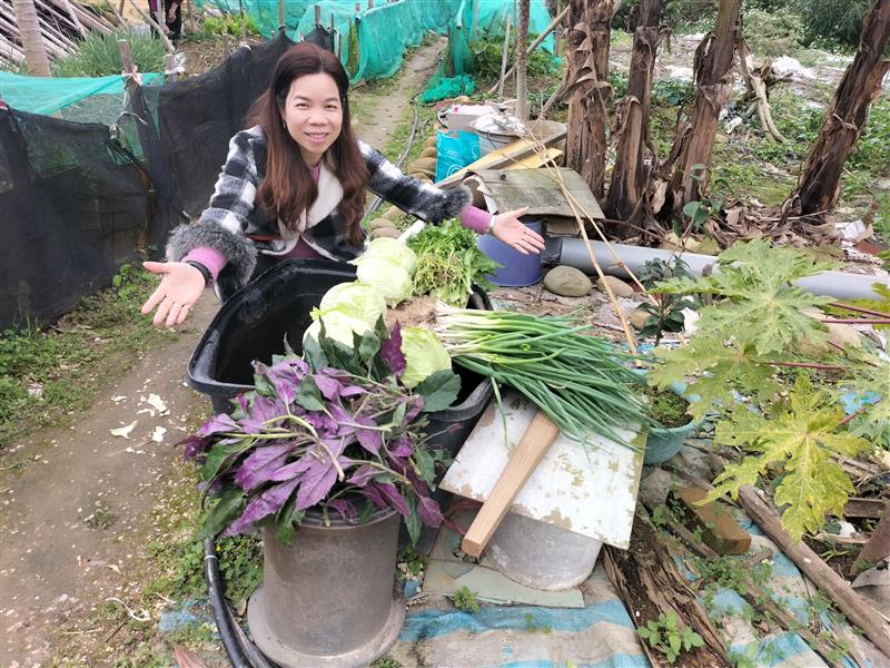 相關圖片