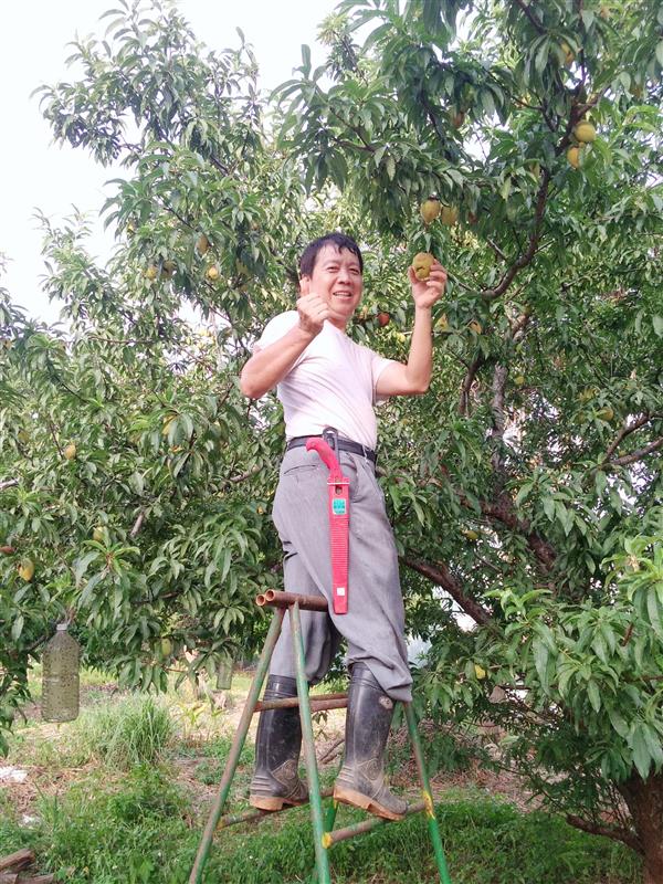 相關圖片