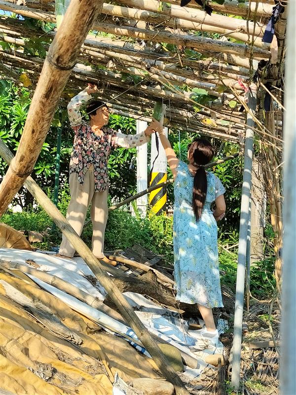 相關圖片