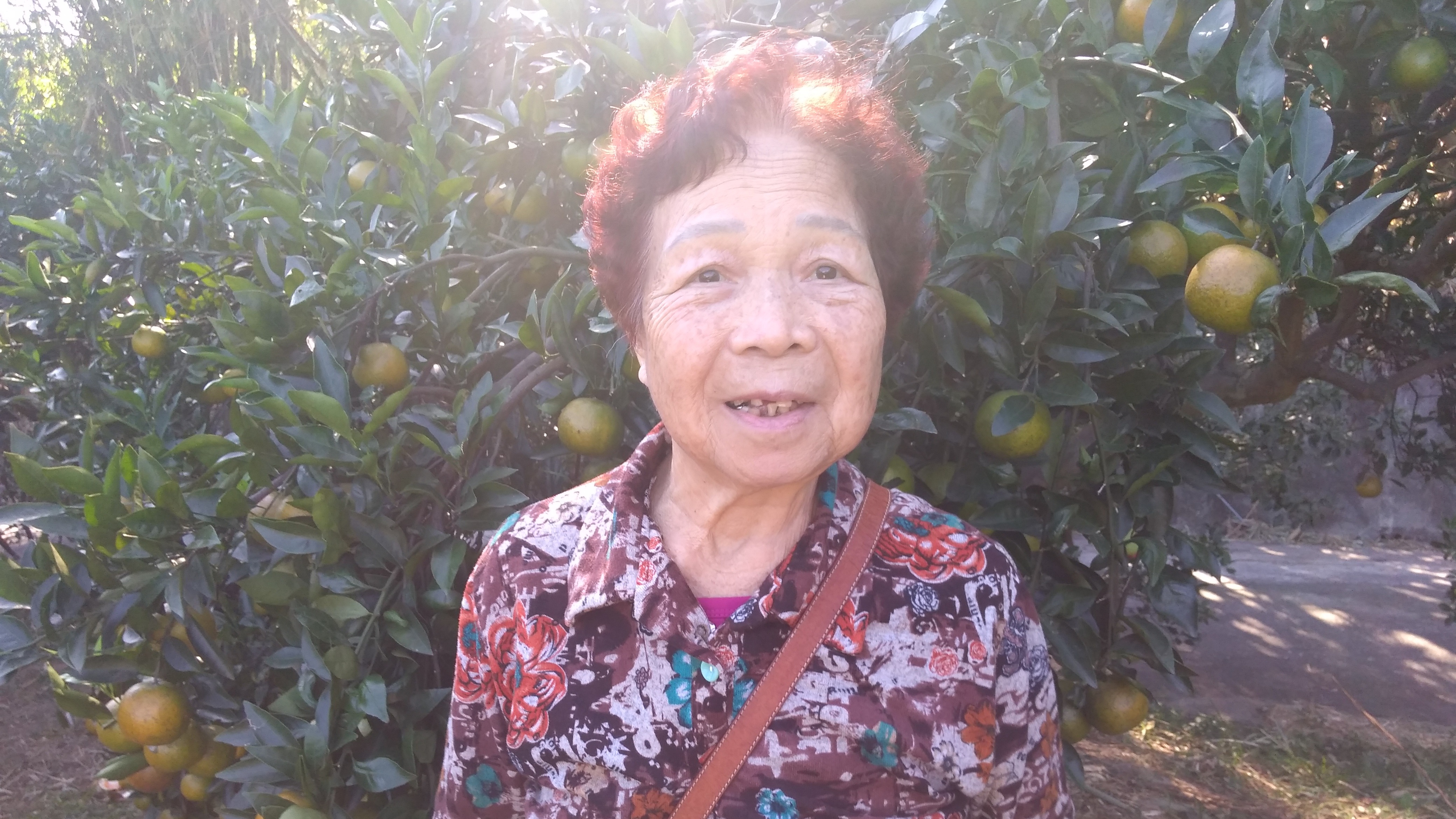 陳秀媽媽的開心農場~小小天地大大滿足~40幾年來母代父職堅強了不起的女人