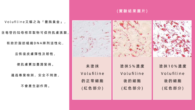 相關圖片