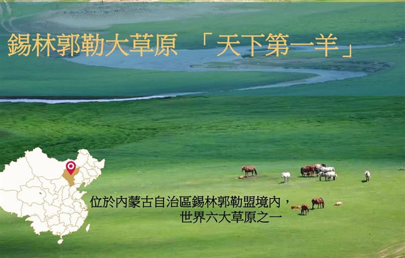 相關圖片