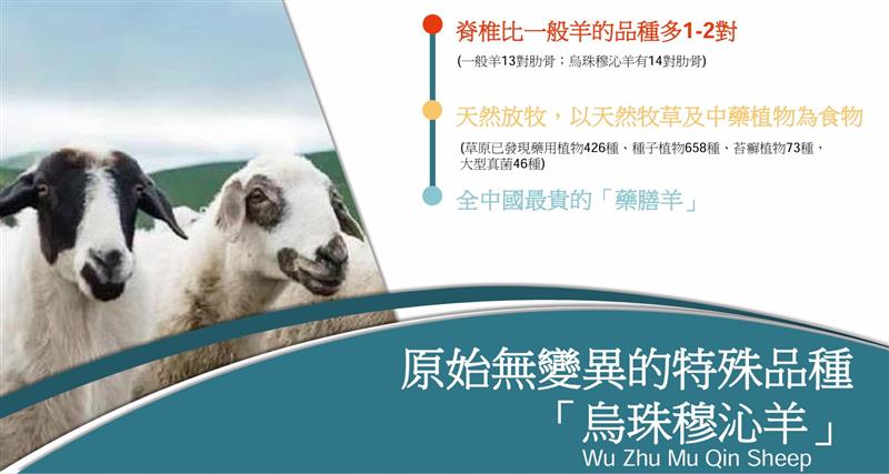 相關圖片