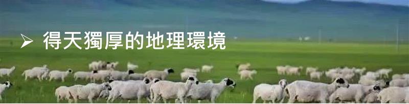 相關圖片