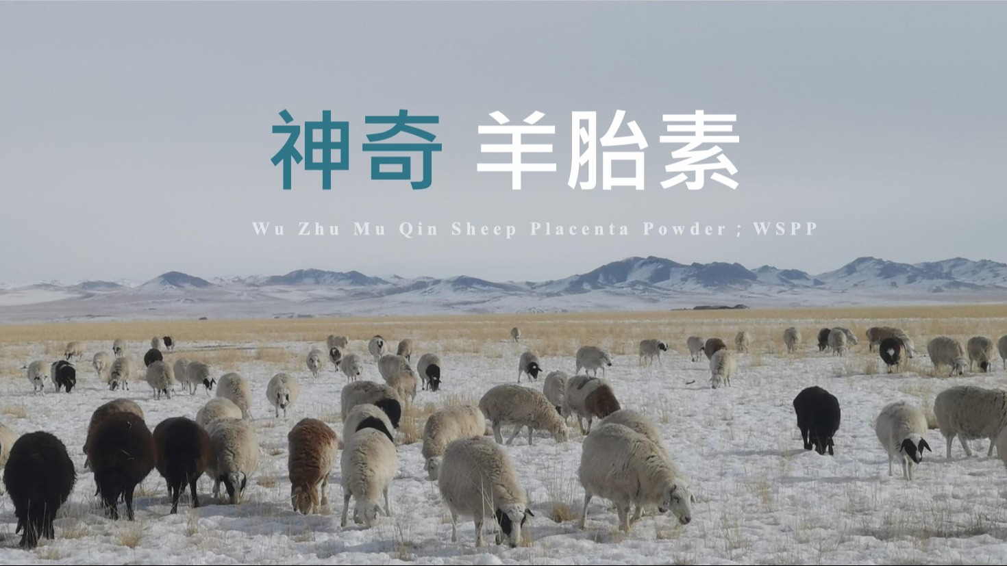 特樂美引領產業創新-開啟健康美容新紀元 , 羊胎素顛覆你的美麗想像