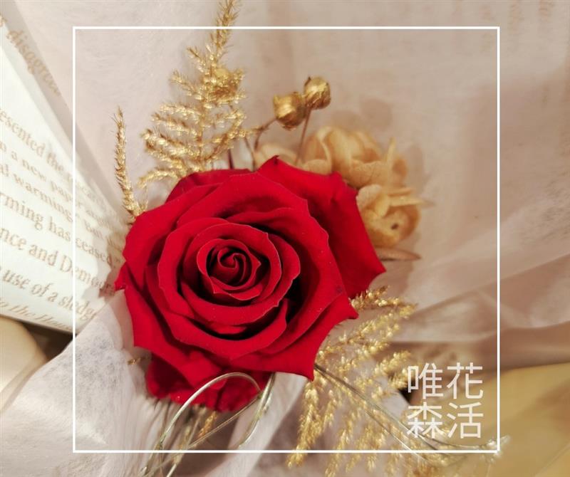 相關圖片