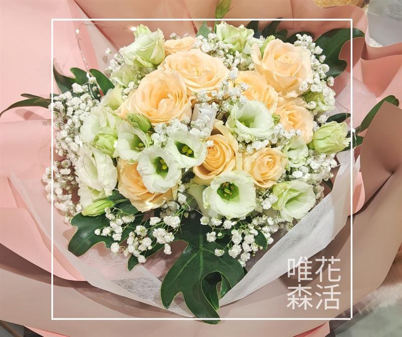 相關圖片