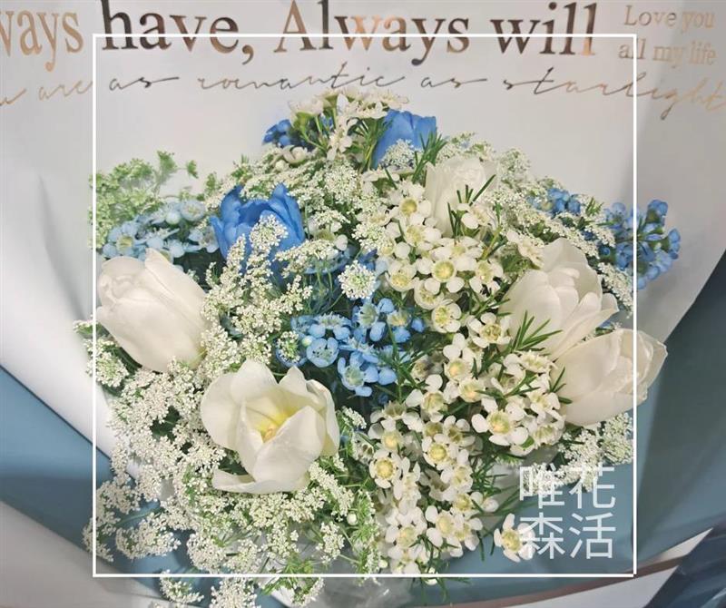 相關圖片