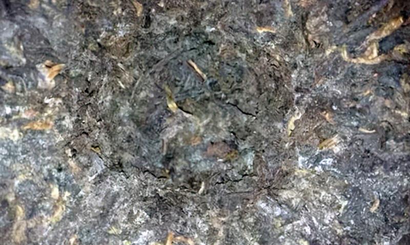 相關圖片