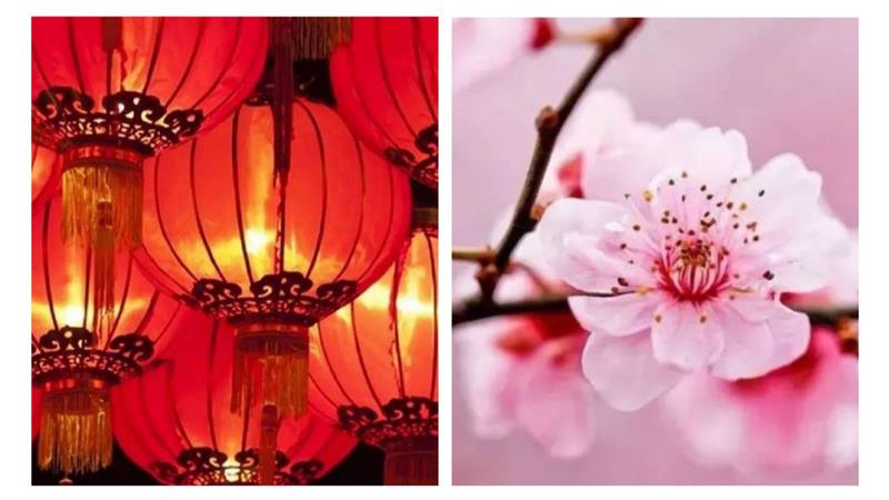 「元宵節」如何招桃花、求姻緣？