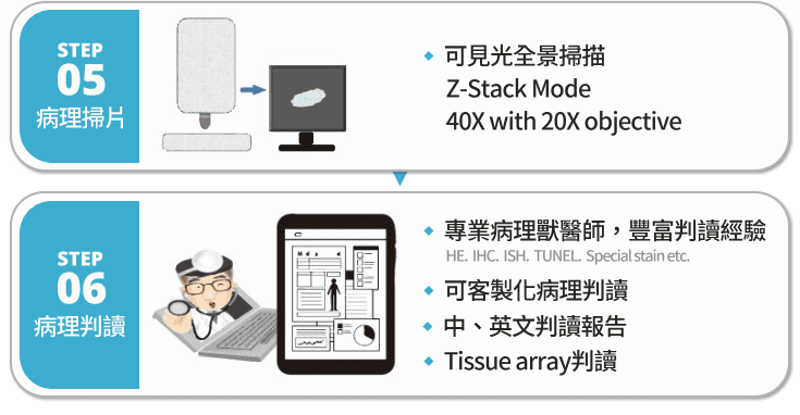 相關圖片