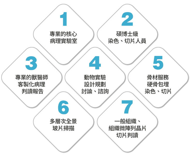 相關圖片