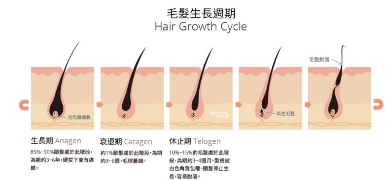 相關圖片