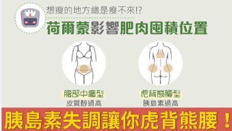 相關圖片
