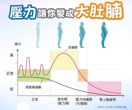 相關圖片