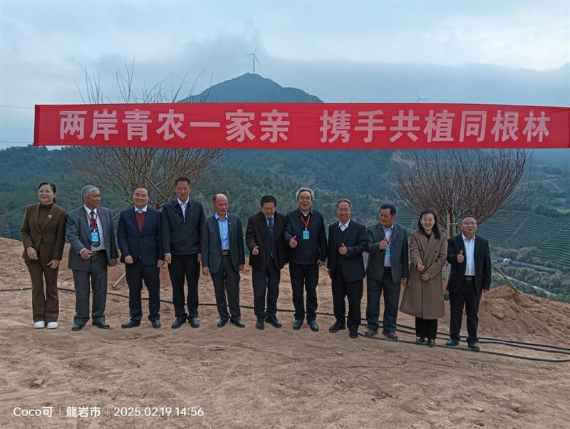 相關圖片