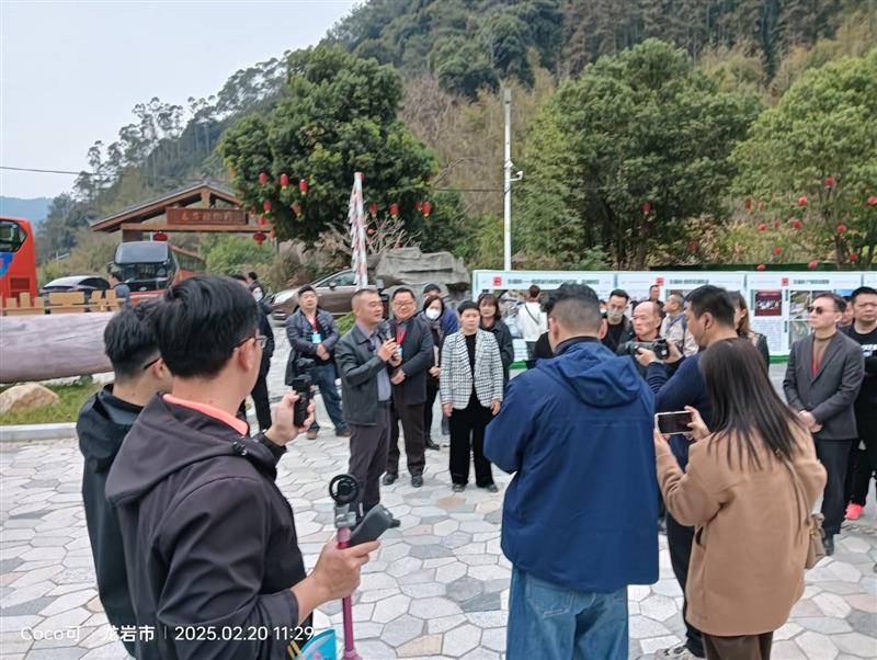 相關圖片