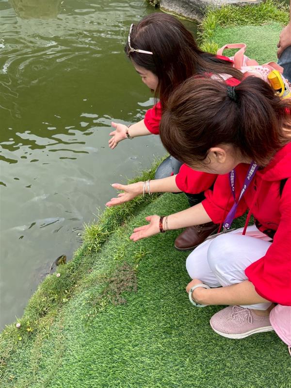 相關圖片